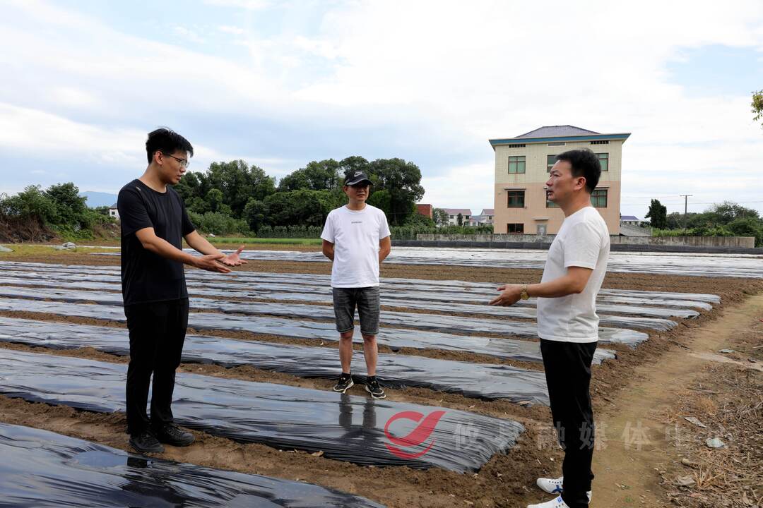 攸县整县推进地膜科学使用和回收试点工作