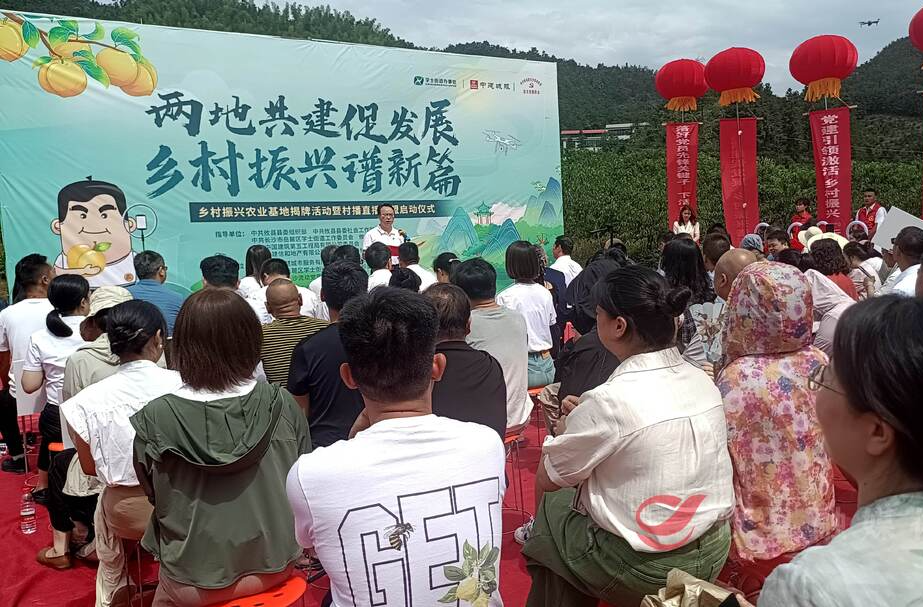 攸县组建村播带货联盟将培育更多“新农人”