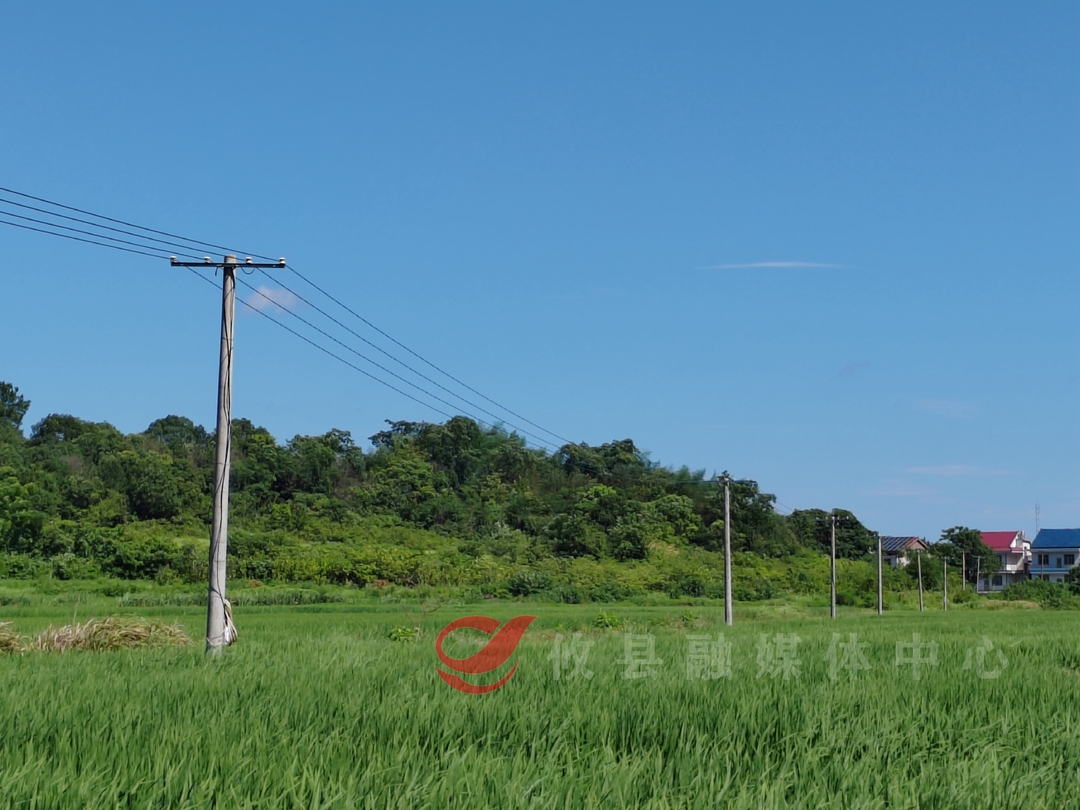 攸县：“加减”并施 守护群众“饭碗田”