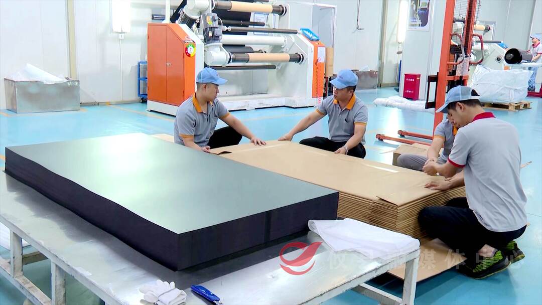 【掷地“攸”声·政协委员在行动】全力提升招商引资质效  助力县域经济高质量发展