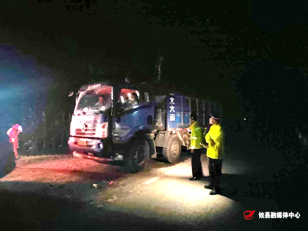 网岭镇开展烟花爆竹“打非治违”零点行动
