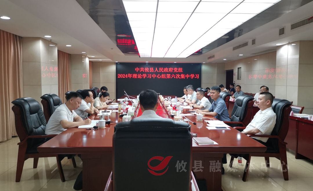 攸县人民政府党组举行2024年理论学习中心组第六次集中学习