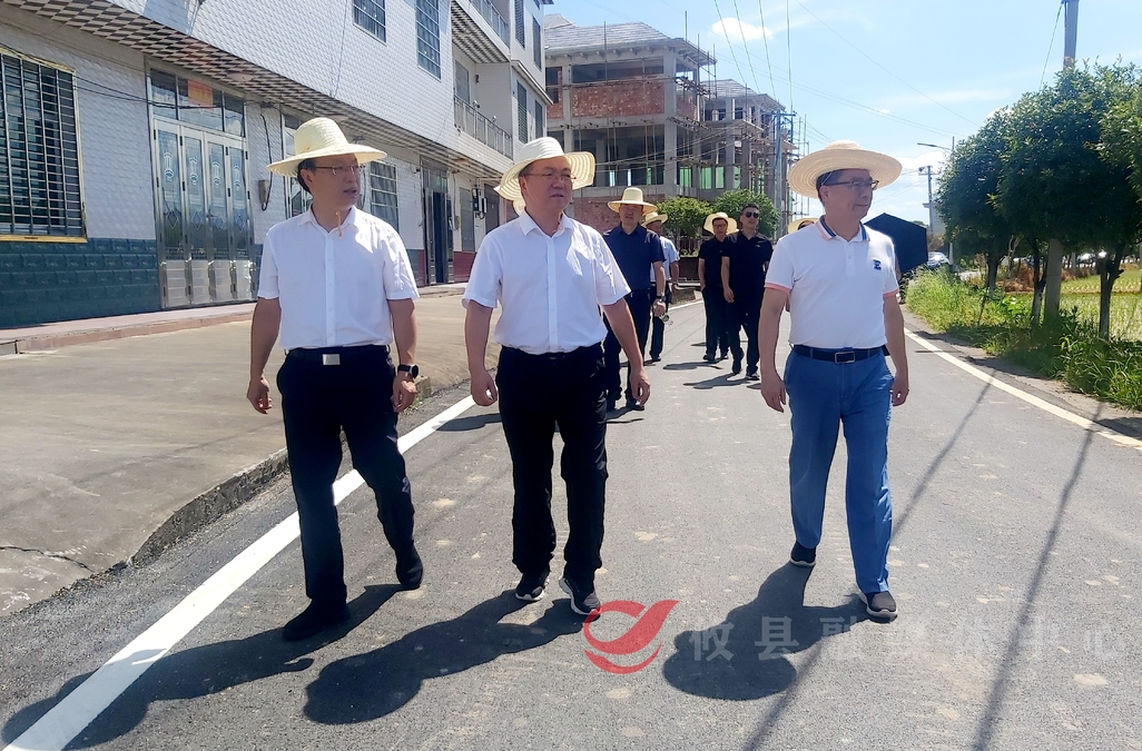 副市长杨胜跃来攸调研粮食生产综合示范片创建及巡林、防汛抗旱等工作
