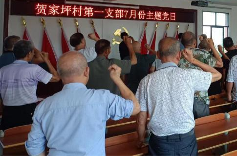 石羊塘镇：七月党员服务季，党群齐心守初心