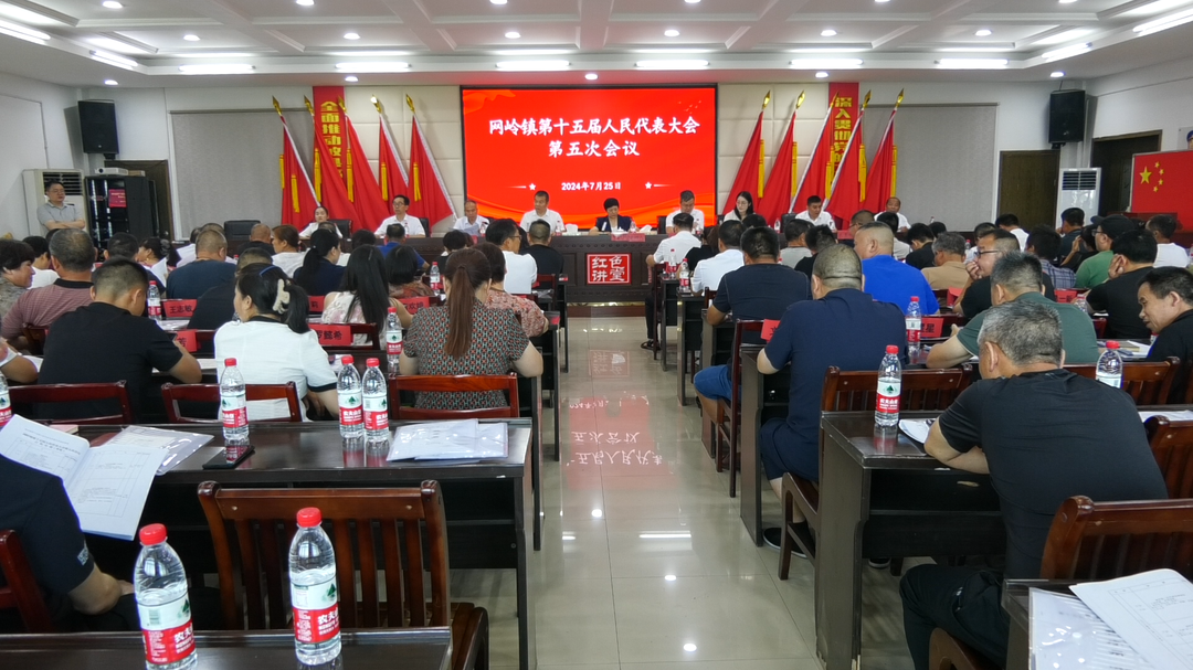 网岭镇第十五届人民代表大会第五次会议胜利召开