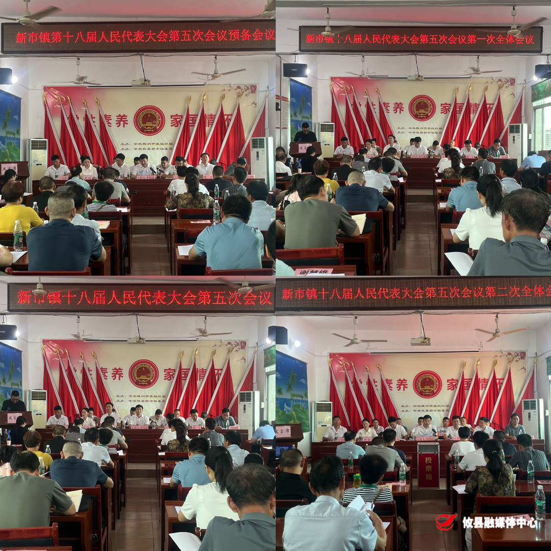 新市镇第十八届人民代表大会第五次会议召开