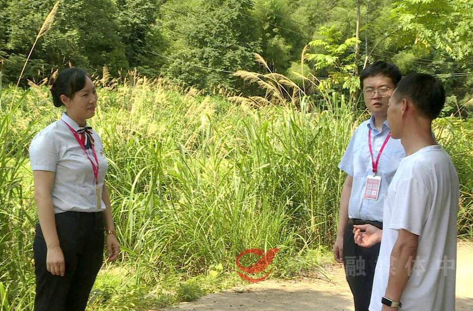 攸县农商银行： 金融“活水”润泽区域经济 高质量发展活力奔涌