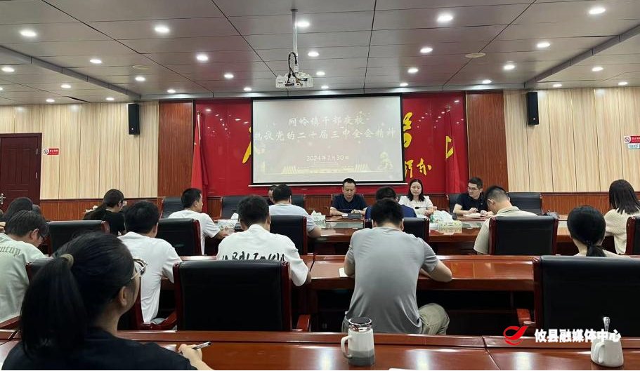 网岭镇：青年基层干部夜校掀起学习宣传贯彻党的二十届三中全会精神热潮