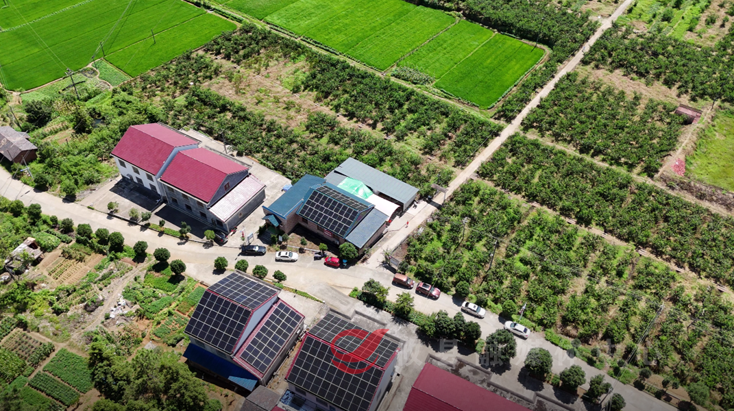 革命遗址见过往 满园丰收现兴芒 实训攸州学子开展实践调研活动