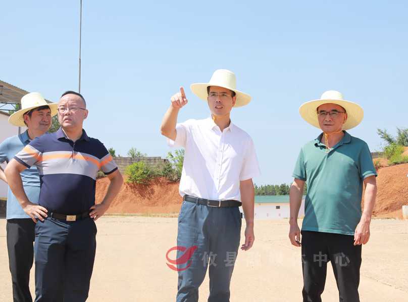 武挪强督导河长制、林长制工作