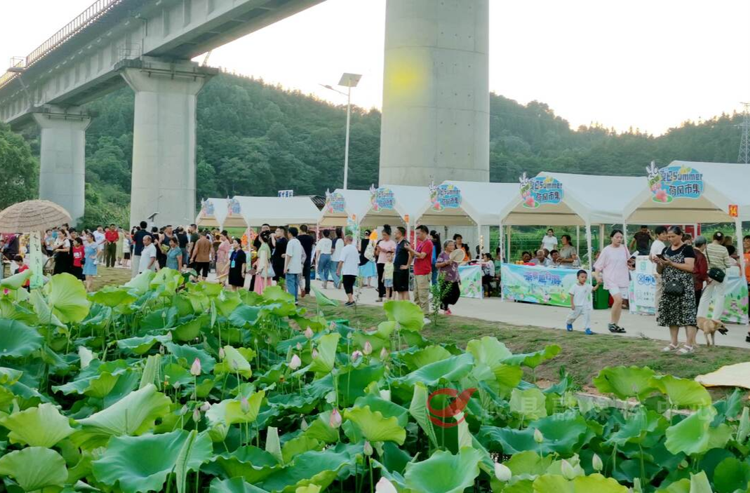 茶陵“趣”村游·2024“荷美”龙匣乡村游活动举行