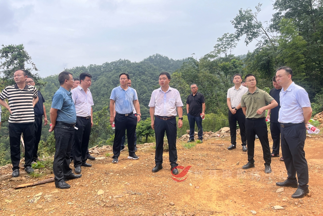 李鹏程督导占用林地修路情况整改工作