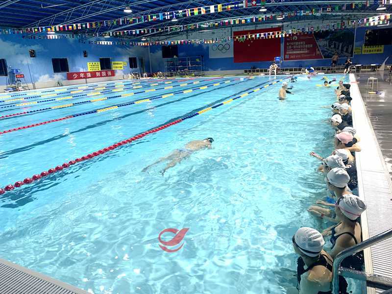 “党声‘攸’扬·青年夜校”课程上新 游泳公开课火爆来袭