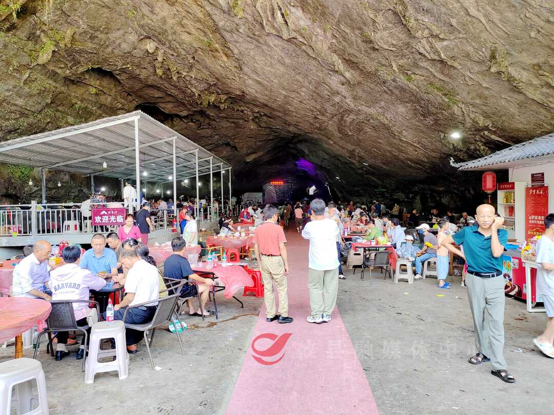 【掷地“攸”声·政协委员在行动】育贤用贤礼贤 系统打造乡贤培育工程