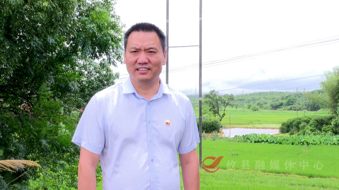 【实干宣言】宁家坪镇坪台村党总支书记陈健：全力打造美丽乡村