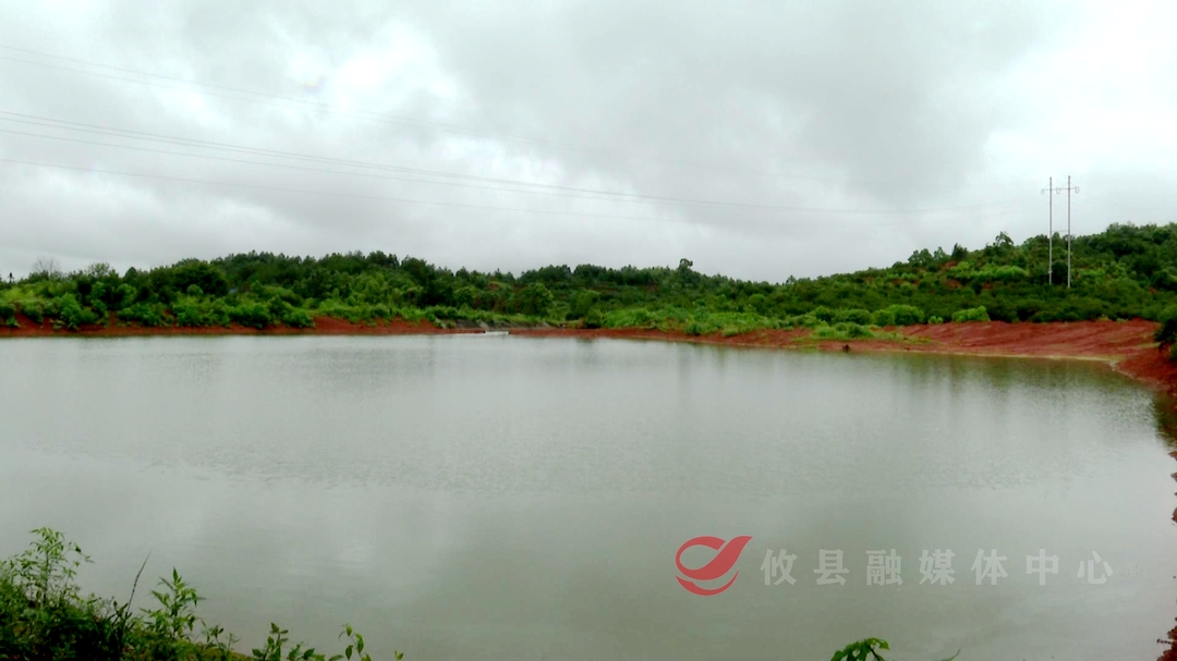 【两高一强】渌田镇福田村：山塘维修保灌溉，群众心里乐开颜