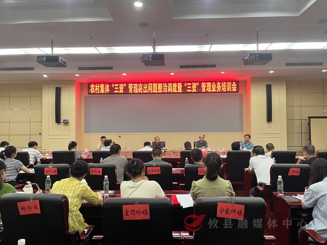 攸县召开农村集体“三资”管理突出问题整治工作调度会
