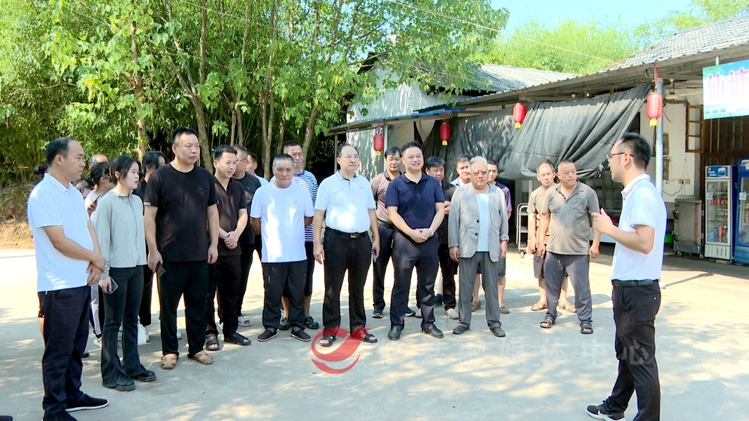 “污”变“肥” 攸县如何成功打造绿色种养循环？