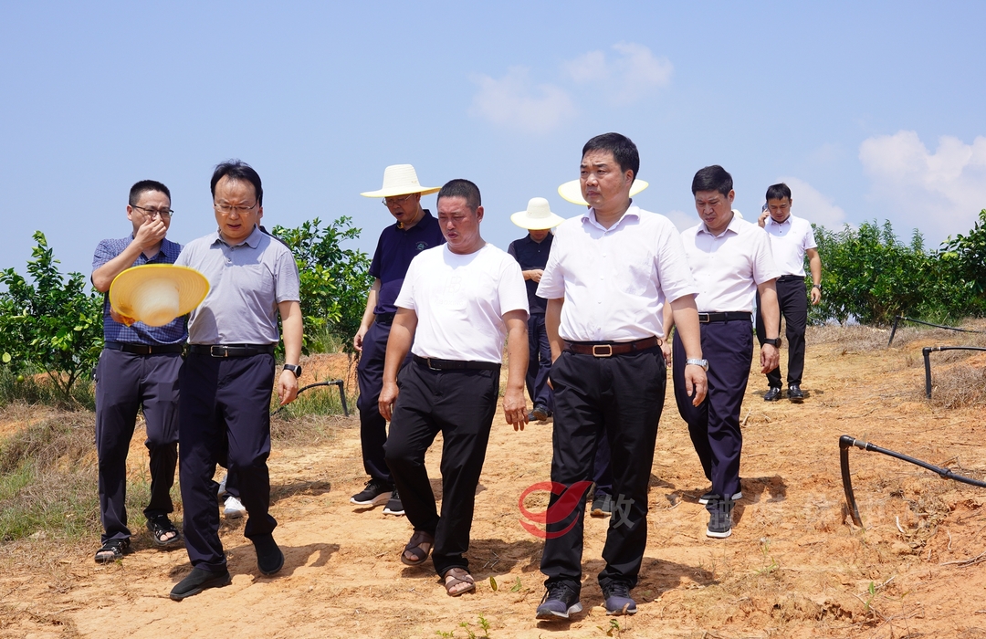 李鹏程调研巩固拓展脱贫攻坚成果同乡村振兴有效衔接工作