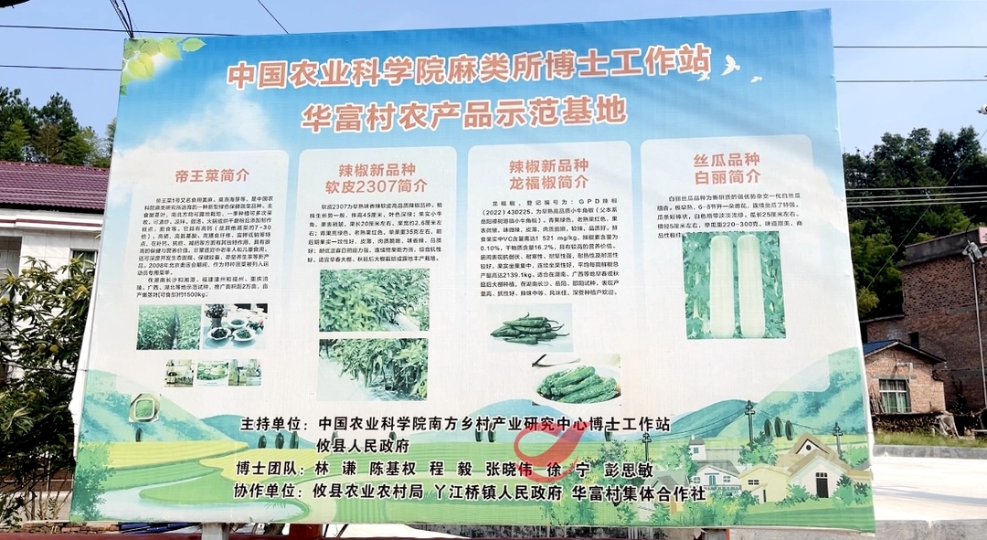 丫江桥镇华富村：发展村级产业 助力乡村振兴