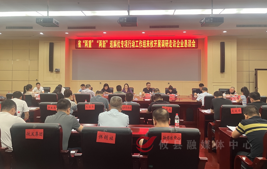 省“两重”“两新”送解优专项行动工作组来攸开展调研走访工作
