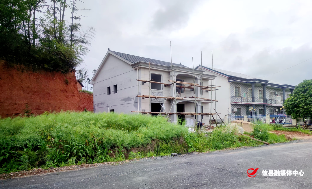 网岭镇：加强风貌管控  建好宜居农房