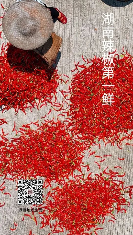 攸县，你为什么这么傲娇？
