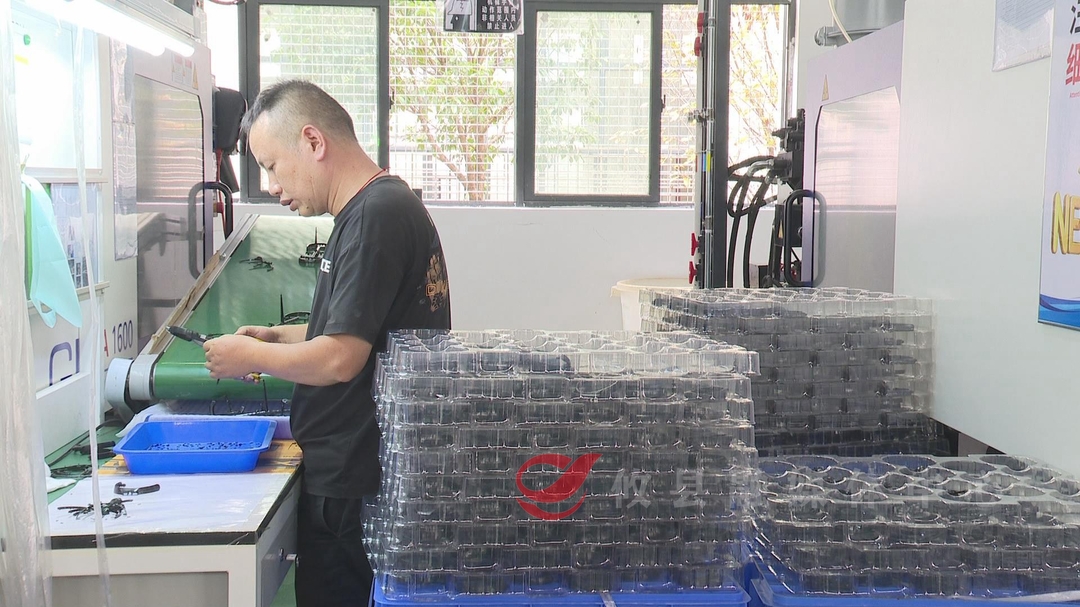 【掷地“攸”声•政协委员在行动】多措并举促招商引资工作提质增效（二）