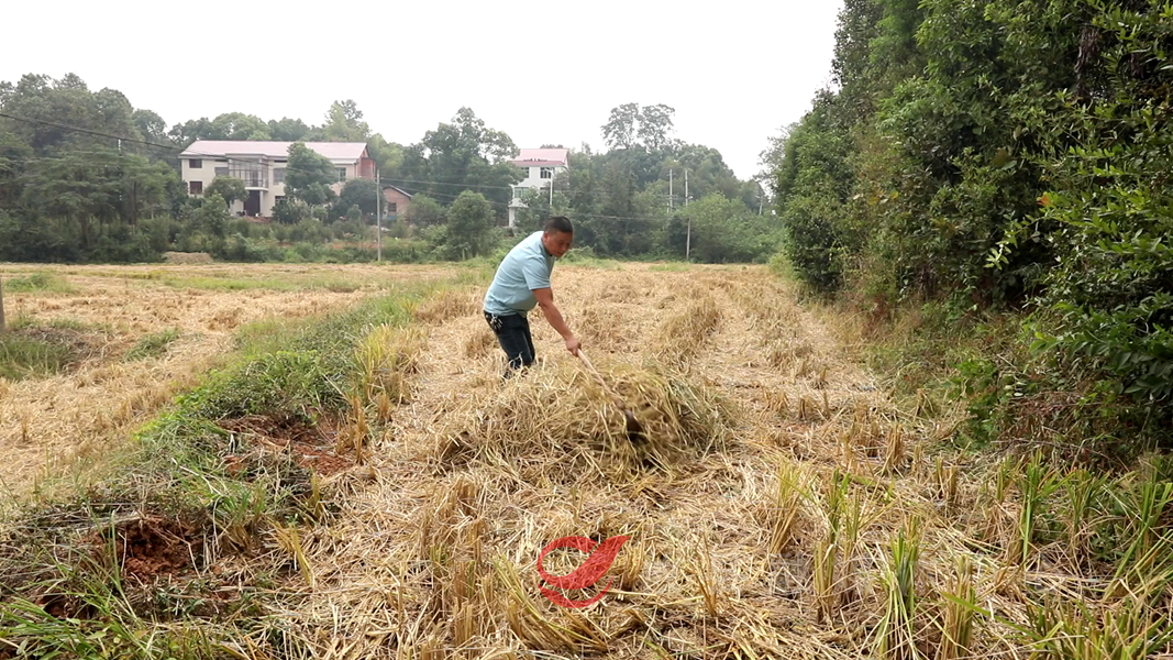 攸县：对农村居民进行身份确认 进城购房迁移户口后原有权益不变