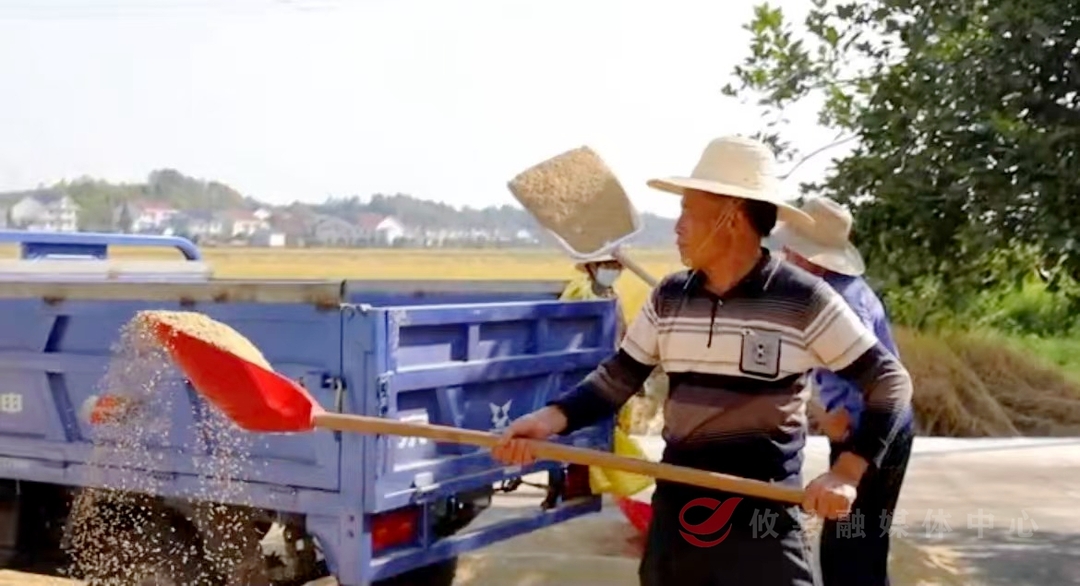 新市镇新联村：引水润沃野 助力大丰收