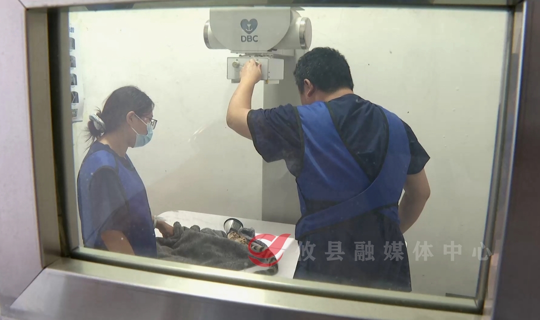 校园里来了位“稀客”！一查竟是…