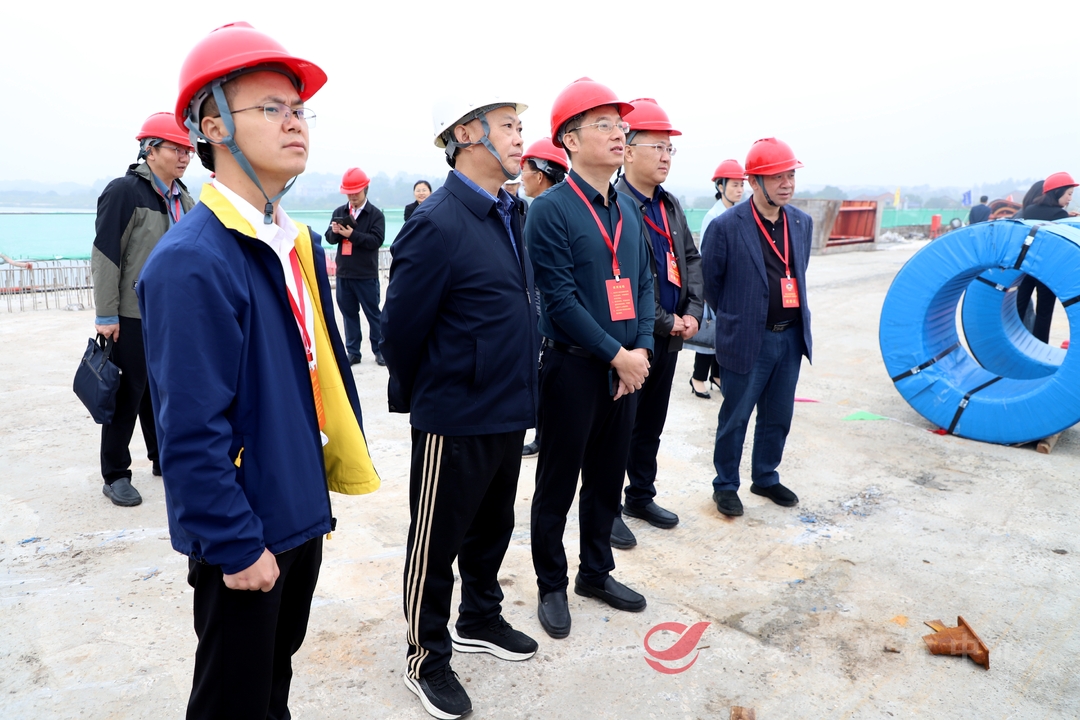 政协委员视察洣水四桥建设项目推进情况