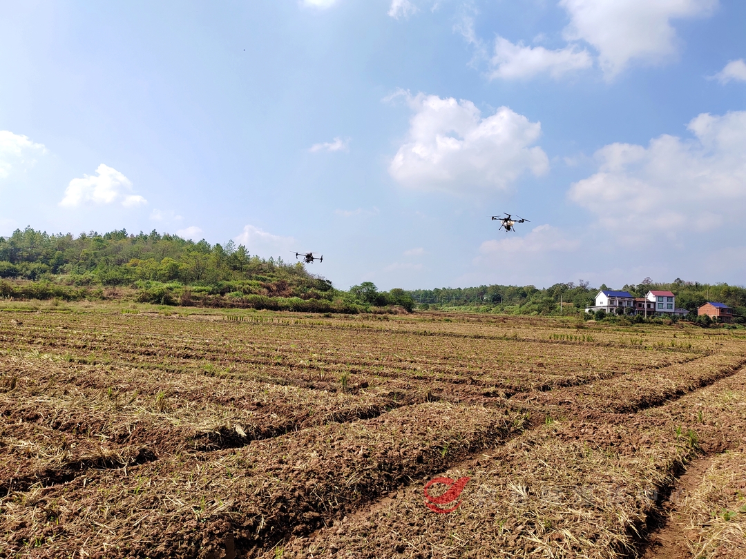 攸县：无人机飞洒绿肥种子 绘就来年好“丰”景