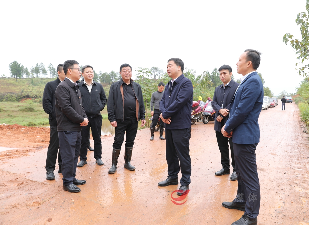 李鹏程调研谭桥街道经济社会发展情况