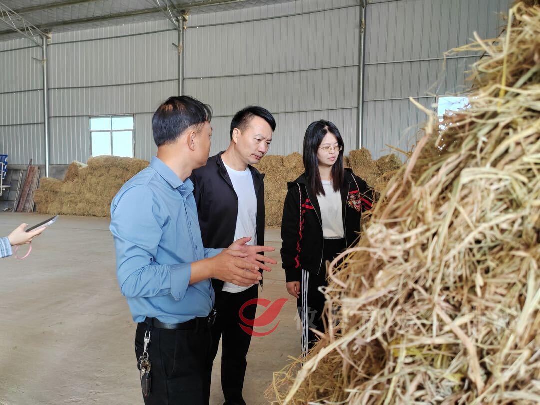 攸县：推进秸杆综合利用 “生态包袱”变“绿色财富”