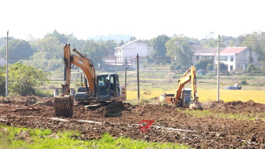 【奔赴田野·记者基层行】筑牢“耕”基——造良田：1.5亿投资  攸县5.15万亩农田今冬提标