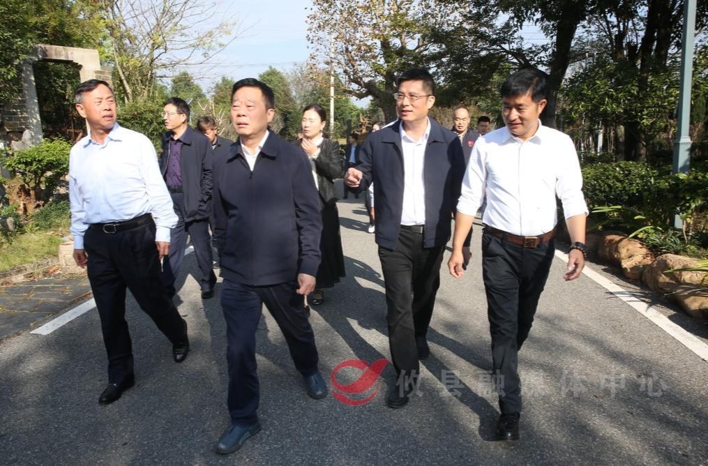 省政协副主席何寄华率调研组来攸调研