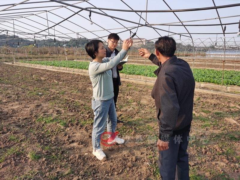 【掷地“攸”声·政协委员在行动】设施农业“棚”勃发展 让“菜篮子”四季不空