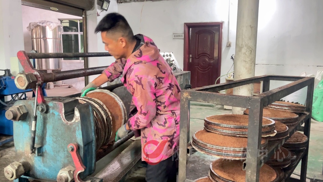 攸县：古法榨茶油 飘香传承久