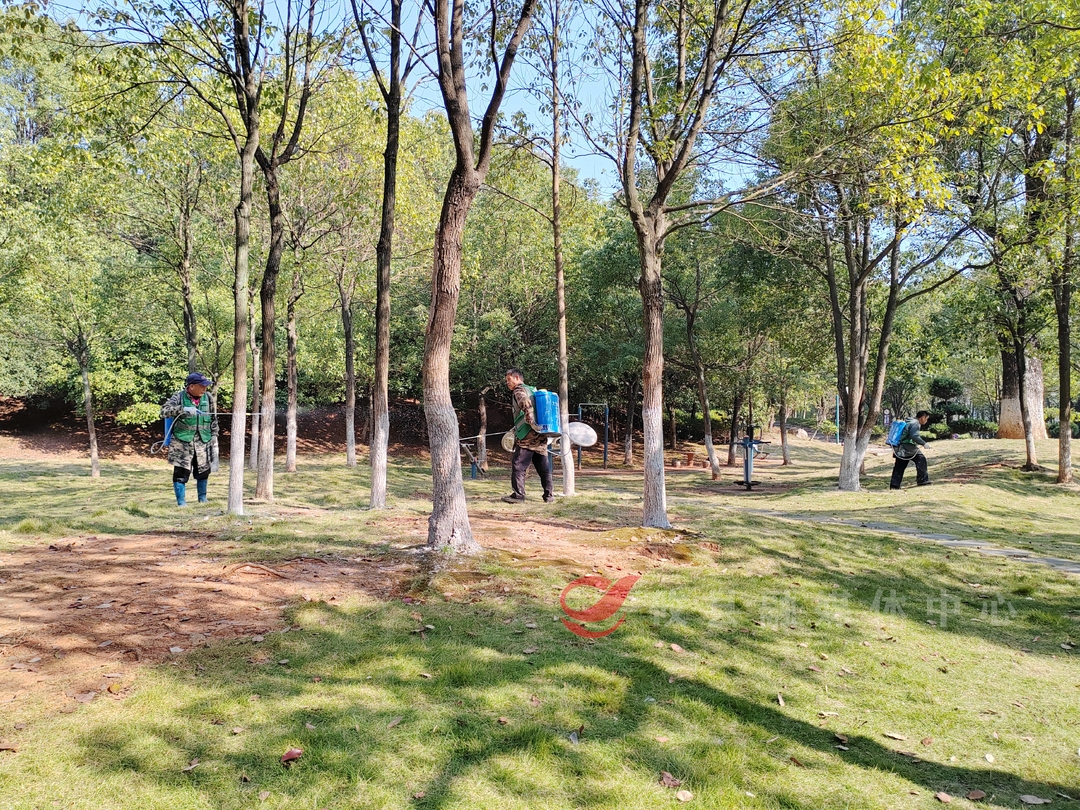 【创文进行时】 树木添白加“新衣” 冬季养护正当时