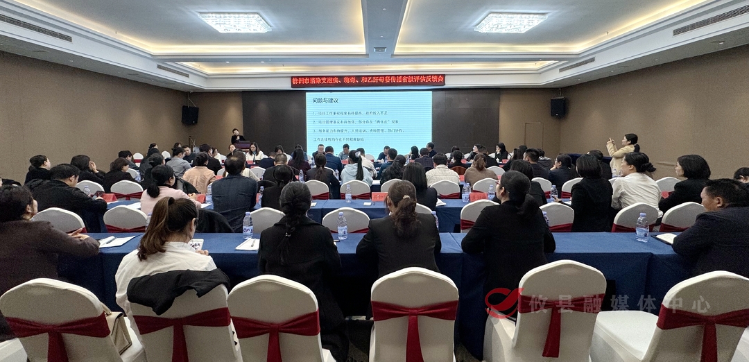 攸县消除艾滋病、梅毒和乙肝母婴传播省级评估工作圆满结束