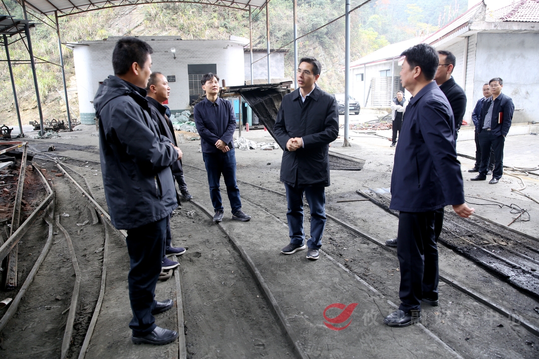 武挪强赴鸾山镇调研经济社会发展情况
