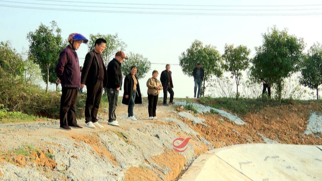 【掷地“攸”声·政协委员在行动】高标准农田建设进入扫尾阶段，5.15万亩农田提能升级