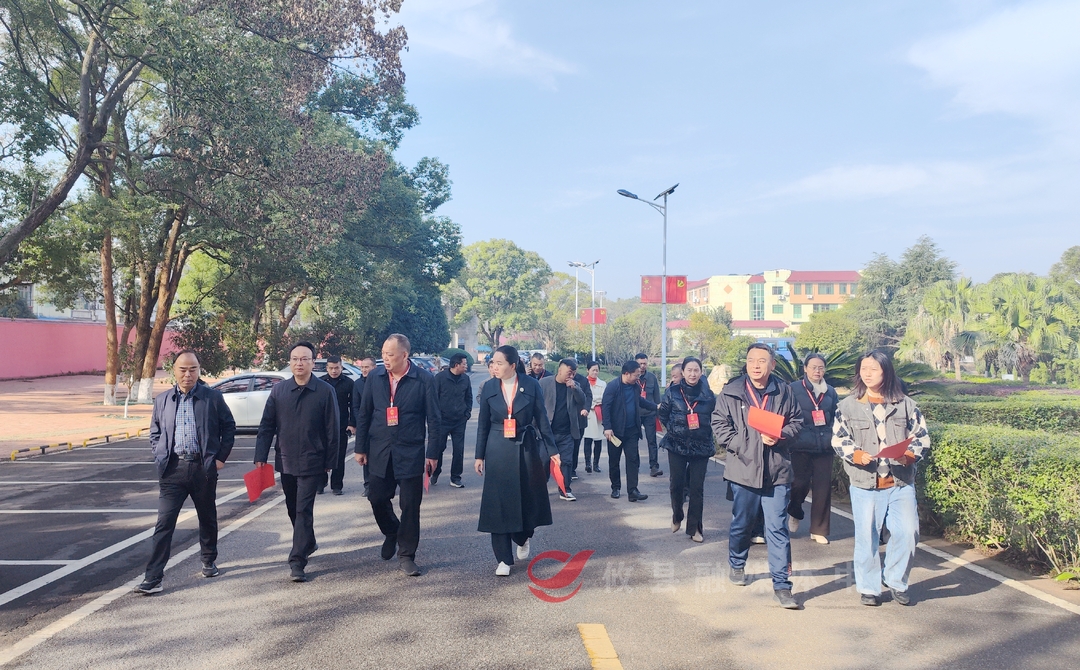 县人大代表视察2024年度票决民生实事项目