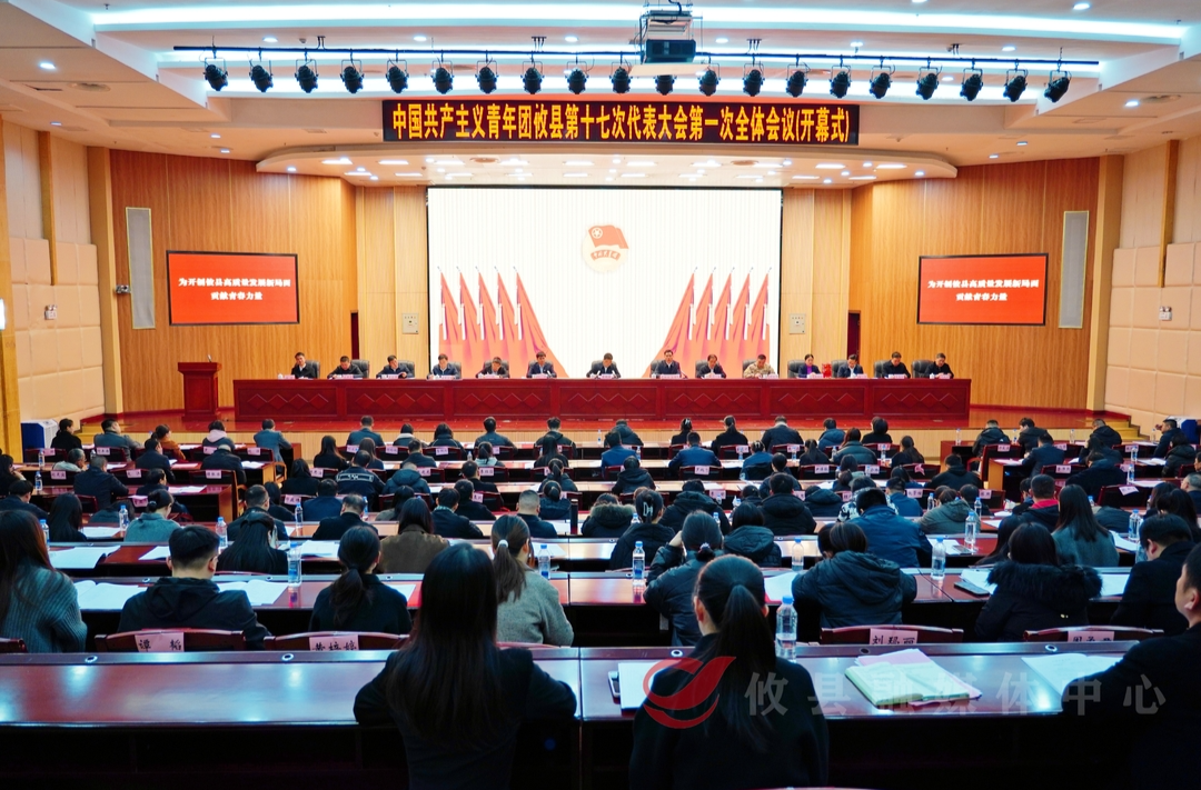 共青团攸县第十七次代表大会胜利召开
