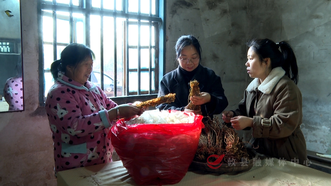 人民的代表吴欣欣：用行动诠释担当 助力村民共奔富路