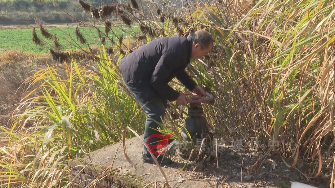 人民的代表阳静：扎根基层 为民代言
