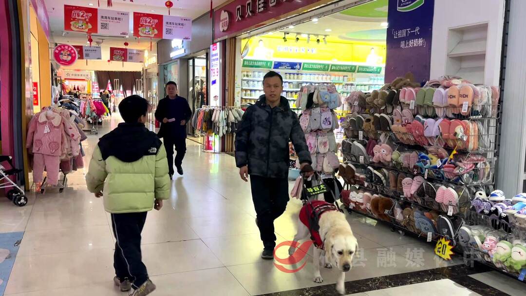 视障人士与导盲犬：双向奔赴的守护