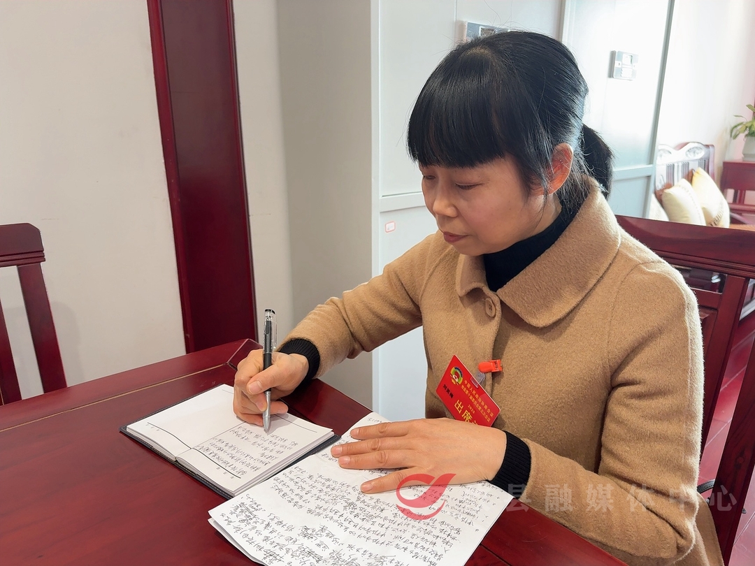 【潮涌攸州·2025年攸县两会】聚集民生热点 政协委员携提案“有备而来”