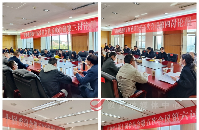 【潮涌攸州·2025年攸县两会】县领导分别参加政协委员联组讨论